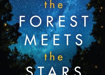 Where the Forest Meets the Stars by Glendy Vanderah
