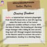 100+ Thriller Story Ideas for your next Bestseller in 2025 | Trenzle